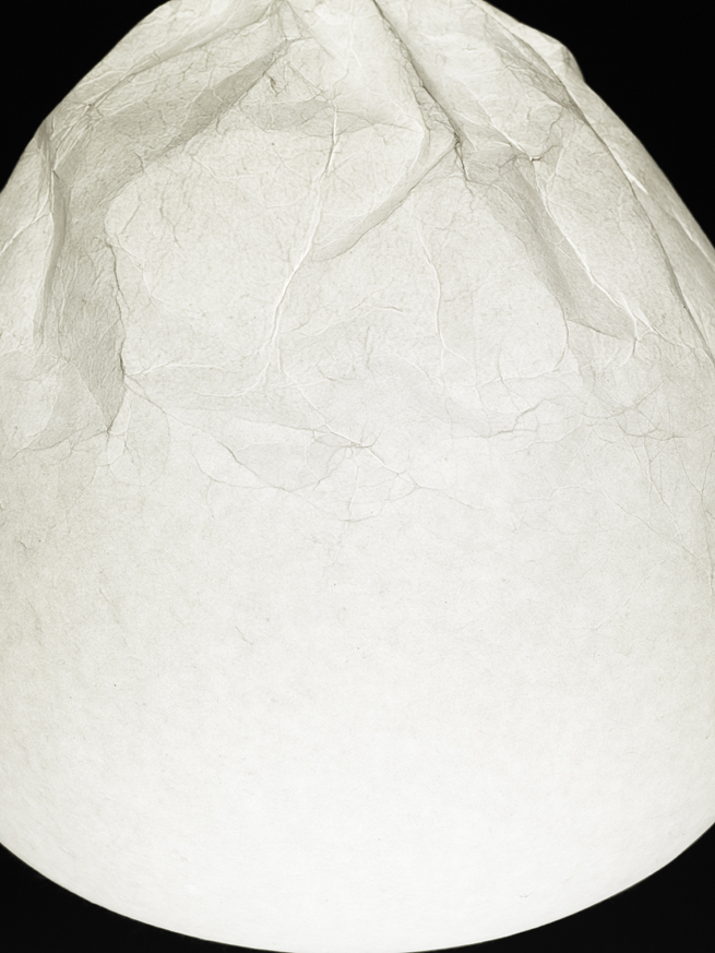 semi-wrinkle_washi11_hiroshi_iwasaki
