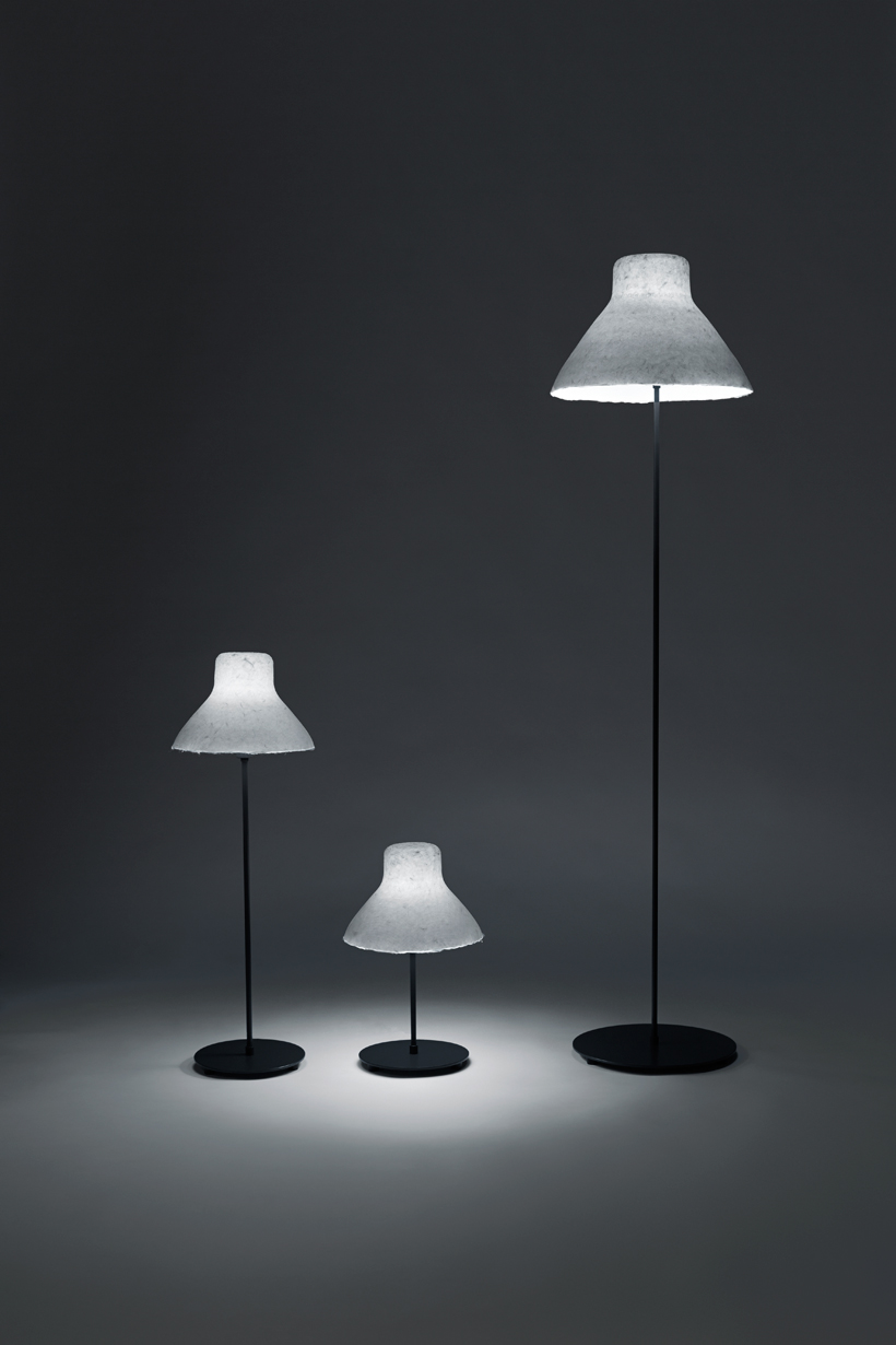 Lampe bicolor